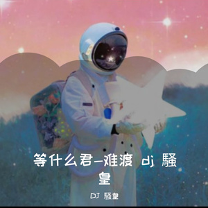 等什么君-等什么君-难渡 dj 騒皇（DJ 騒皇 remix）