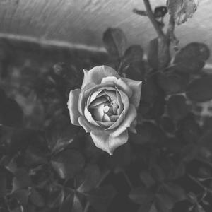 moonlight sonata first mov ( slowed)