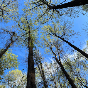 SHORT N SWEET (feat. Nick Nindo & FREDM)