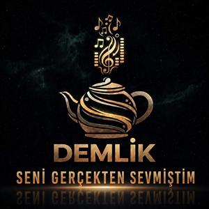 Seni Gerçekten Sevmiştim