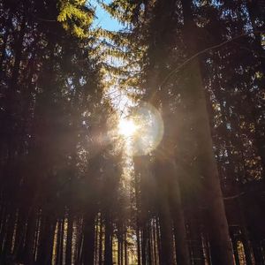 深夜旋律之孤单纠缠