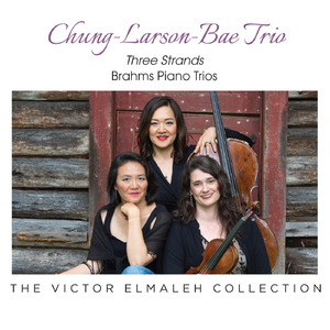 Piano Trio No. 2 in C Major, Op. 8: II. Scherzo. Allegro molto - Meno allegro