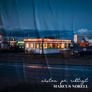 Skärvan i spegelbilden