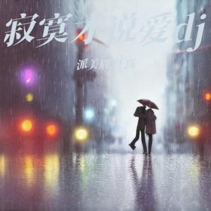 寂寞才说爱 (DJ阿尼版)