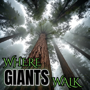 Aurora over Ancient Stones