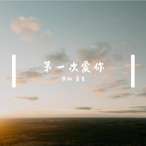 第一次爱你