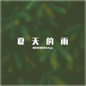夏天的雨