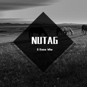 NUTAG
