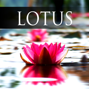 Extacy (Bamboo Flut)