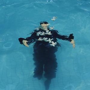 斑马斑马（翻自 宋冬野）