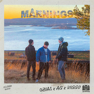 Mårnings
