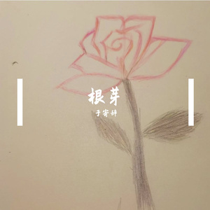 理想三旬