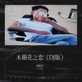 木棉花之恋 (DJ黎族版)