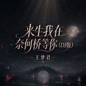来生我在奈何桥等你(DJ版)
