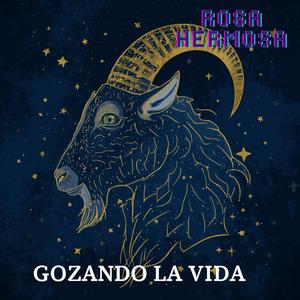 GOZANDO LA VIDA