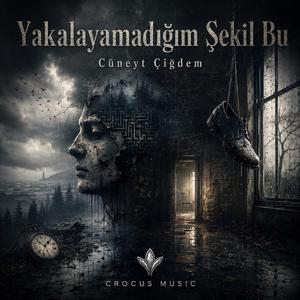 Yakalayamadığım Şekil Bu