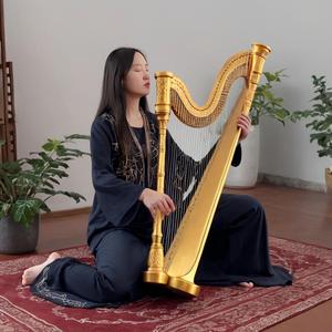 Energy pulses with sound melody’s wave