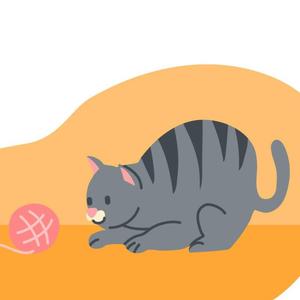 Playing Cats