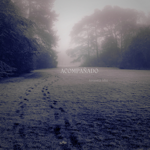 Acompañado