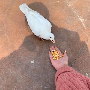 骂醒我（清晰版）