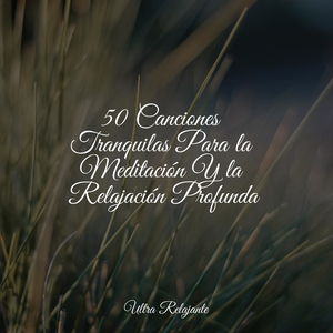 Manteniéndolo Tranquilo