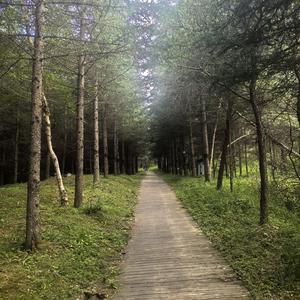 细思过往畅想明天无解