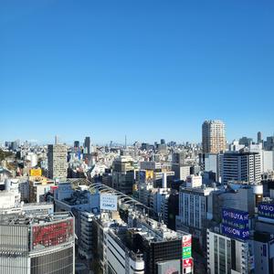 下北沢 (Shimokitazawa)