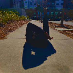 Juice World (feat. Revø.didit)