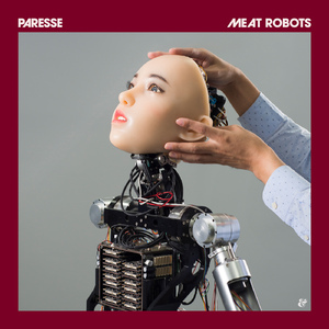 Meat Robots (Radial Gaze 'Inner Vision' Remix)