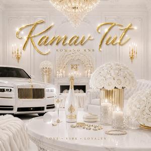 Romano Vibe Kamav tut (LK STUDIO)