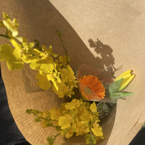 好きじゃないよ