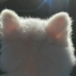 潮汐（翻自 Kc）