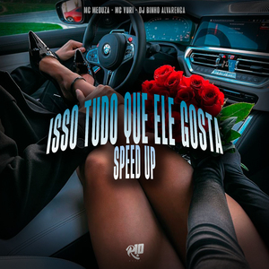 Isso Tudo Que Ele Gosta (Speed Up)