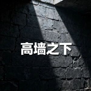 高墙之下