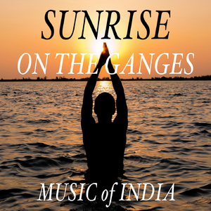 Travels Through India