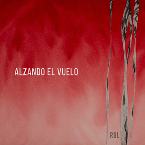 Alzando El Vuelo