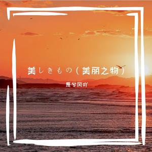 美丽之物（二胡版）