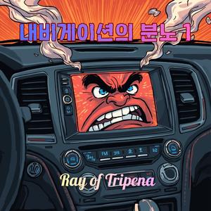 내비게이션의 분노 1