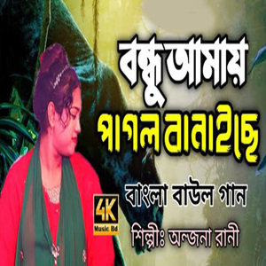 বন্ধু আমায় পাগল বানাইছে