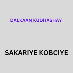 Dalkaan Kudhashay