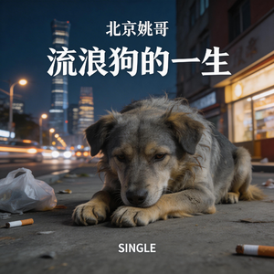 流浪狗的一生