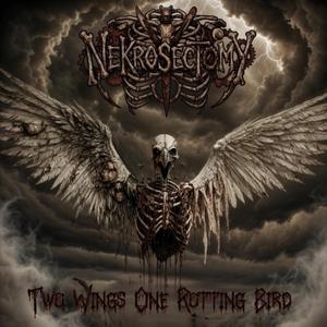Two Wings (One Rotting Bird)