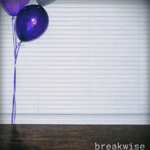 Breakwise
