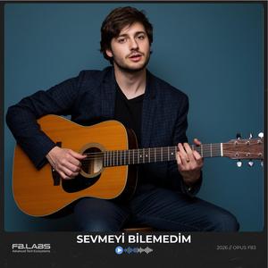 Sevmeyi Bilemedim (Halil Hundi)