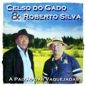 Os Artistas do Povo - Toada