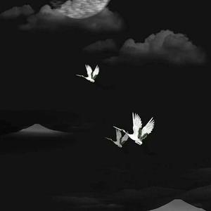 皇朝中我指鹿为马