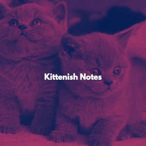 Magical Music for Moody Kittens