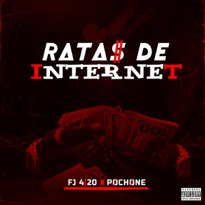 Ratas De Internet