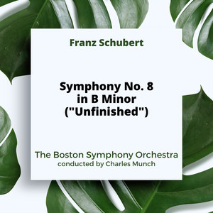 Symphony No. 8 in B Minor, D. 759 Unfinished: I. Allegro moderato