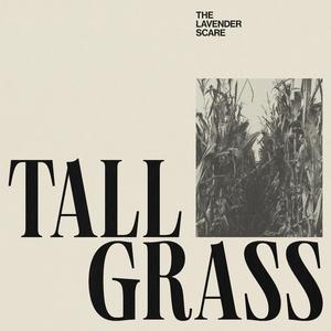 Tall Grass